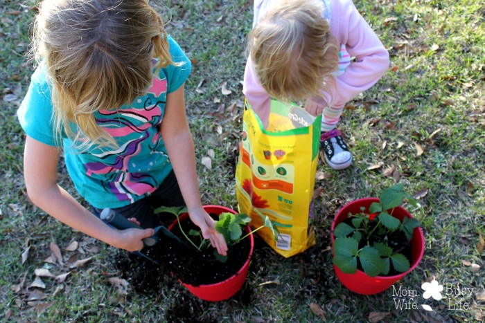Ways To Celebrate Earth Month As A Family