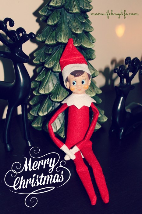 Elf on the Shelf Ideas