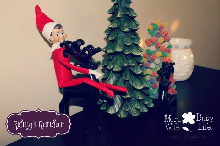 elf on the shelf ideas riding a reindeer