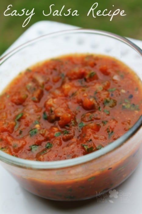 Easy Salsa Recipe