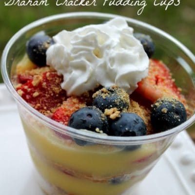 graham-cracker-pudding-cups-466x7001
