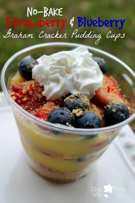 Strawberry and Blueberry Pudding Cups