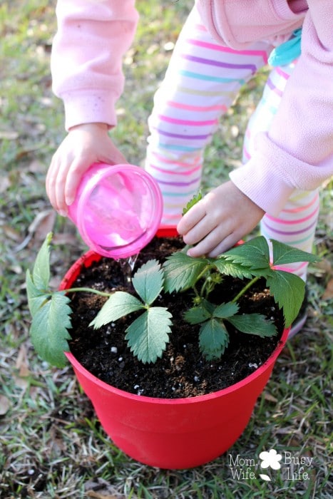 Ways To Celebrate Earth Month As A Family