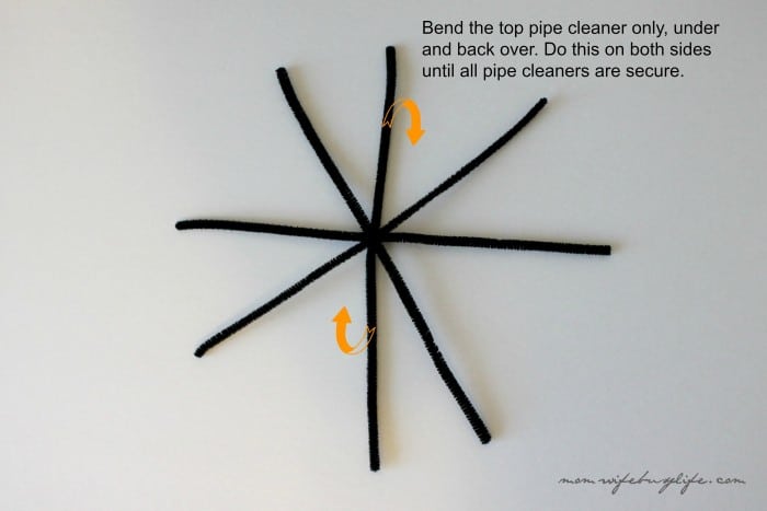 DIY Spider Craft