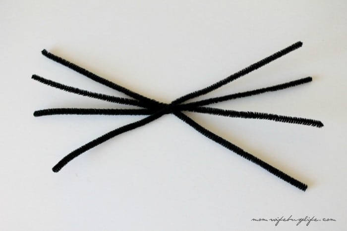 DIY Spider Craft