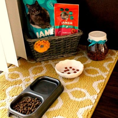 cat feeding station before and after