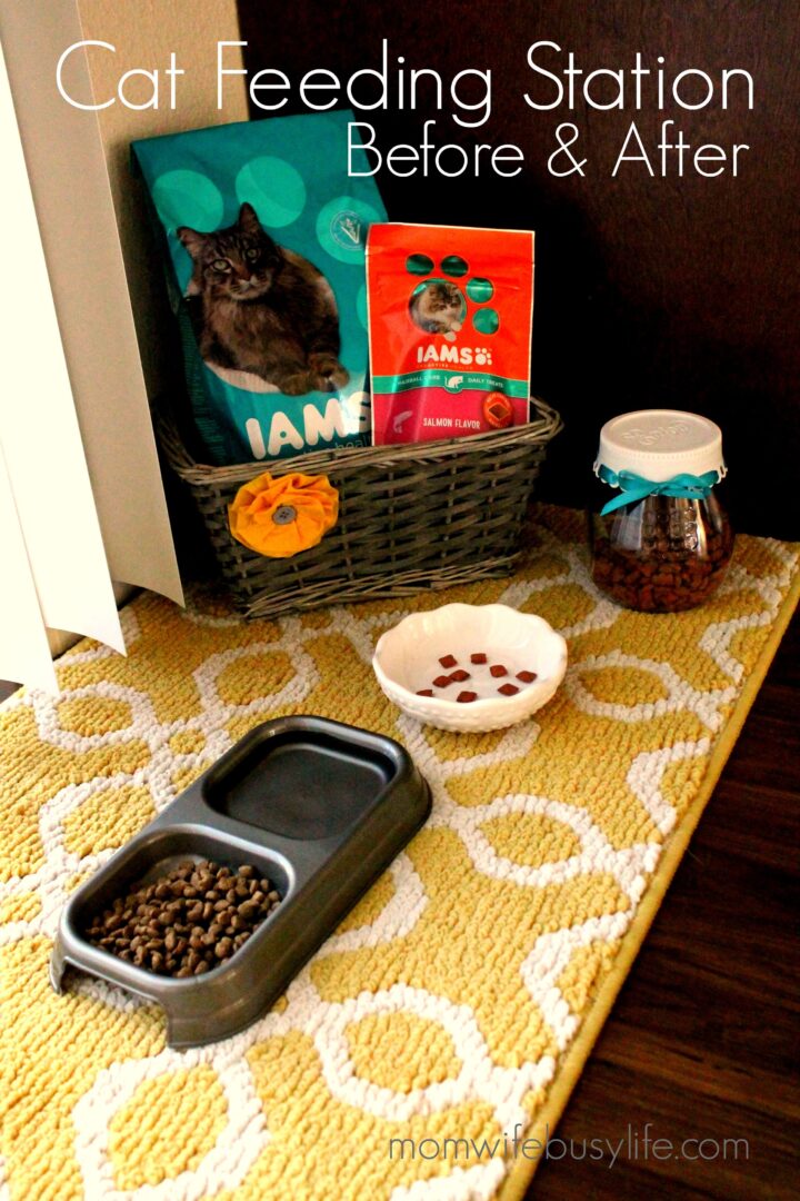 How to Create a Cute Cat Feeding Station