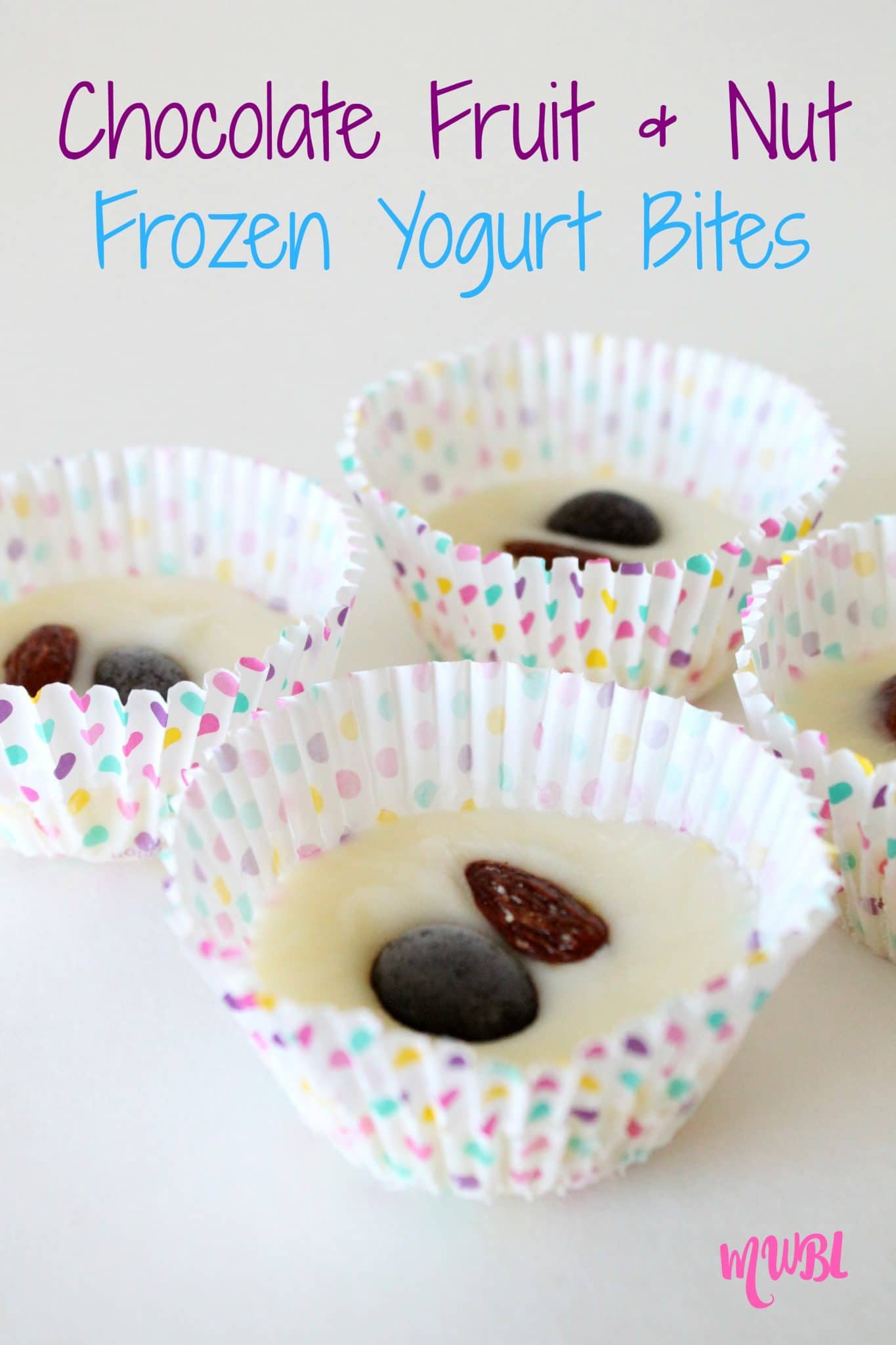 Chocolate Fruit & Nut Frozen Yogurt Bites Recipe Mom. Wife. Busy Life.