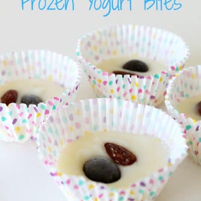chocolate fruit and nut frozen yogurt bites recipe