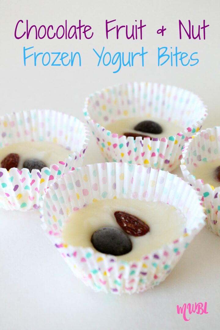 Chocolate Fruit & Nut Frozen Yogurt Bites Recipe