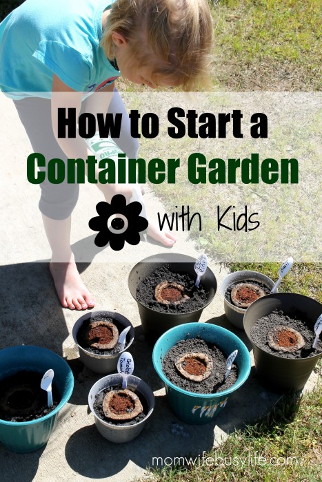 How to Start a Container Garden with Kids Hero Image