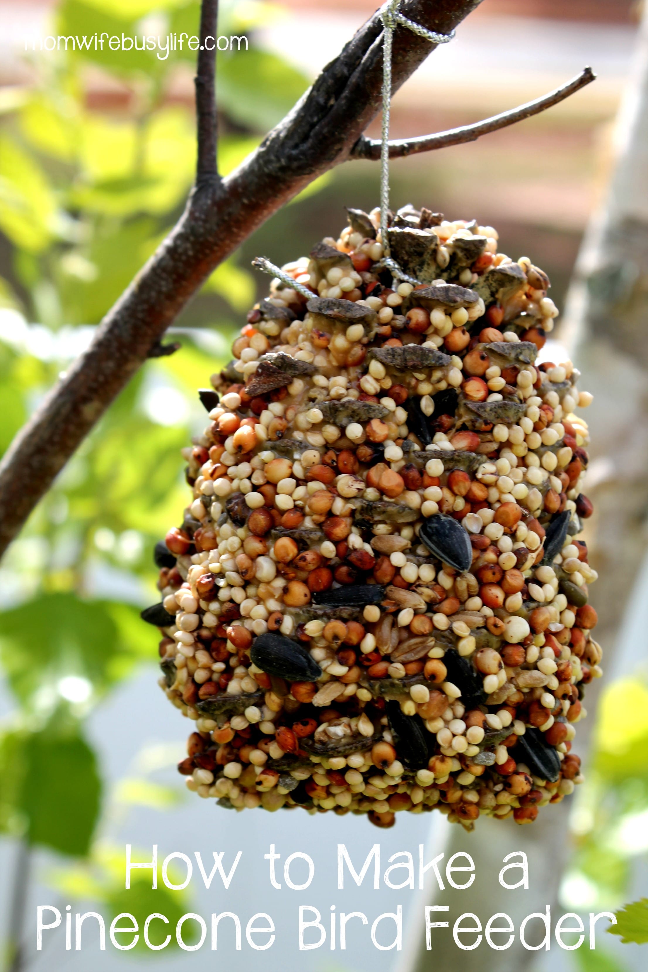 How To Make A Pinecone Bird Feeder   How To Make A Pinecone Bird Feeder  