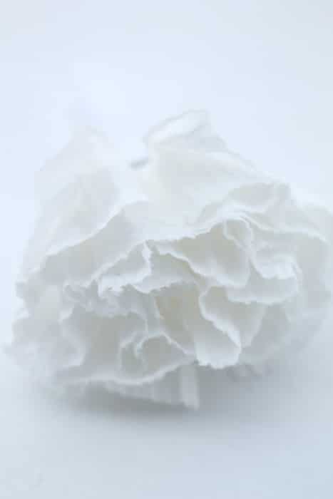 toilet paper flowers 5