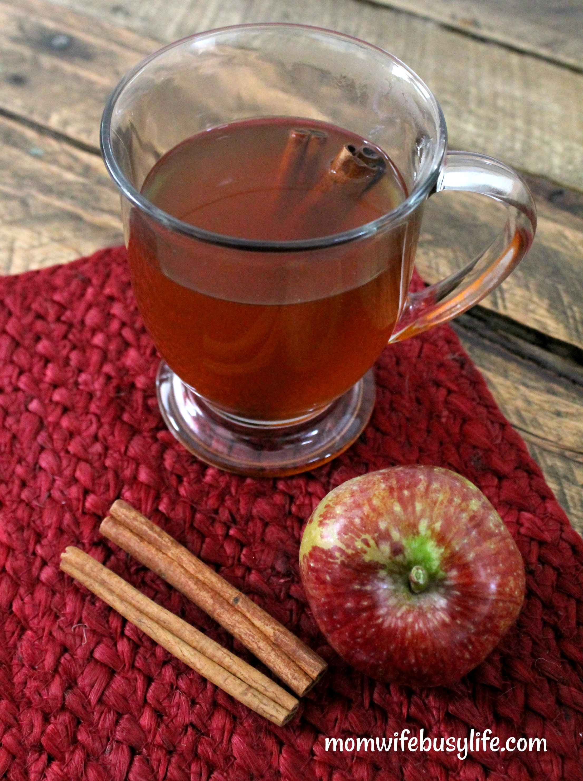 Hot Apple Cinnamon Spice Tea
