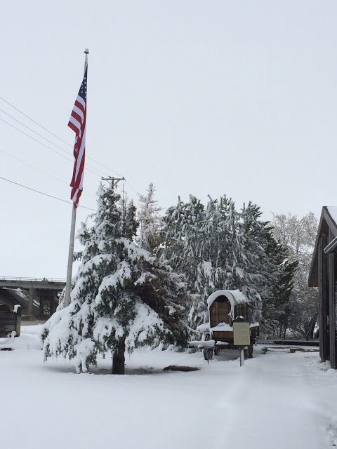 We were snowed in when after arriving in Wyoming! 