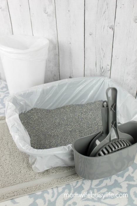 How to Keep the Cat Litter Area Clean and Tidy 