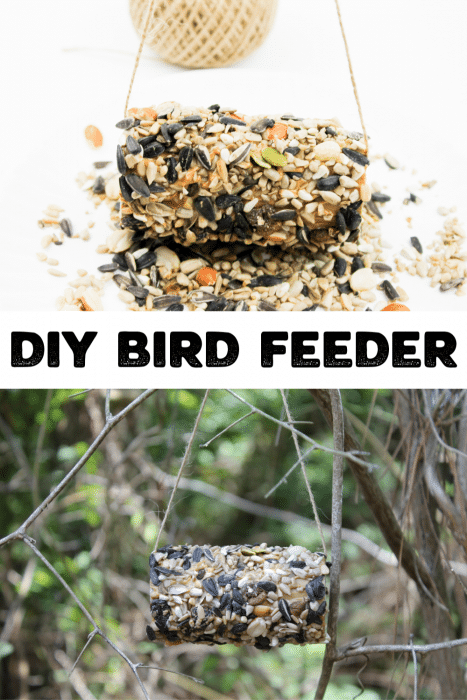 Toilet Paper Roll Bird Feeder - Mom. Wife. Busy Life.