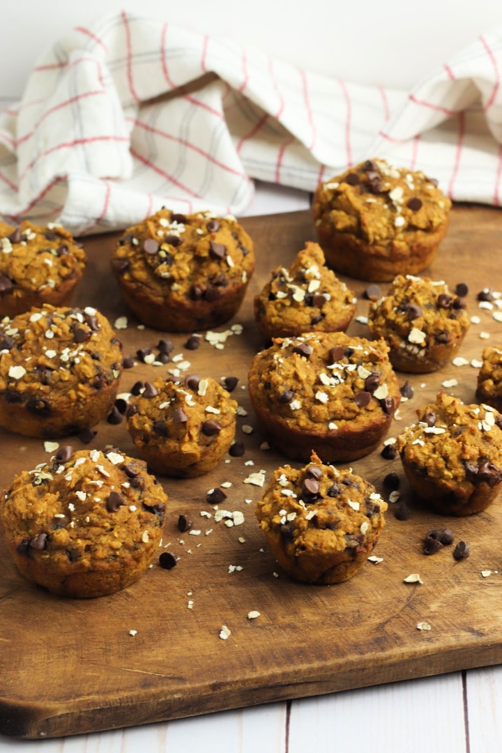 Chocolate Chip Pumpkin Muffins