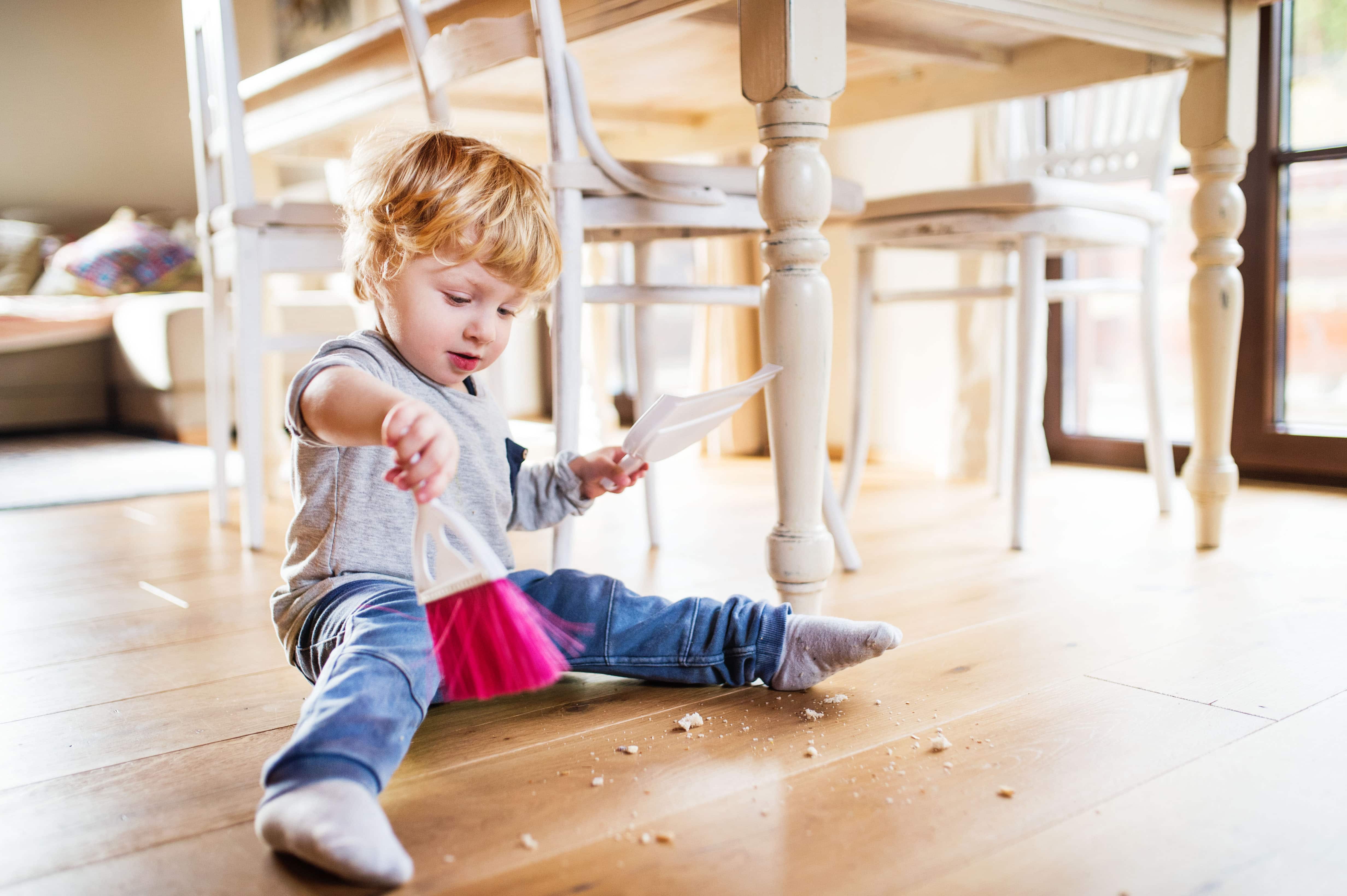 childs brush and dustpan