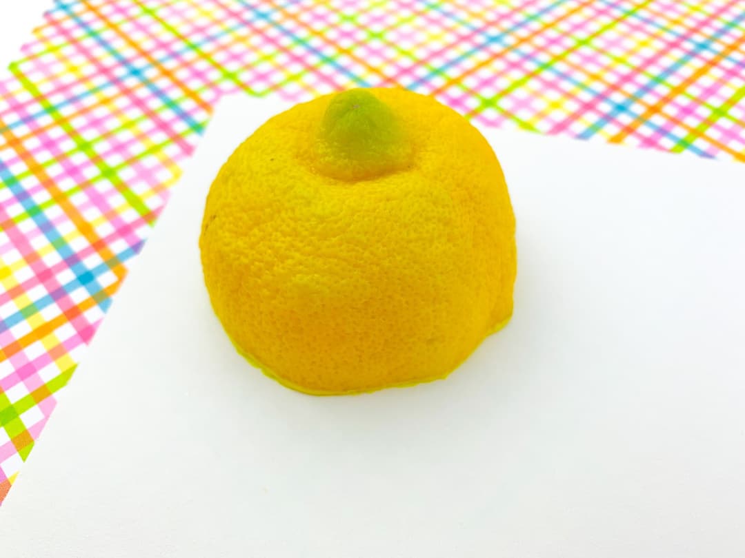 Lemon Stamp Art