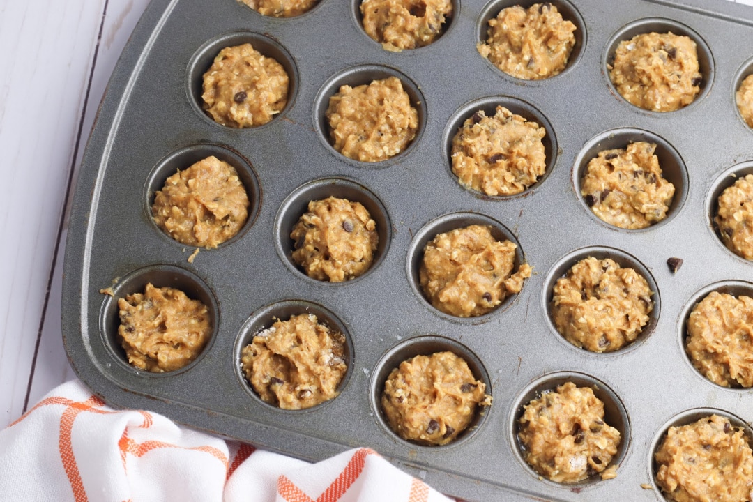 Pumpkin Oat Muffins