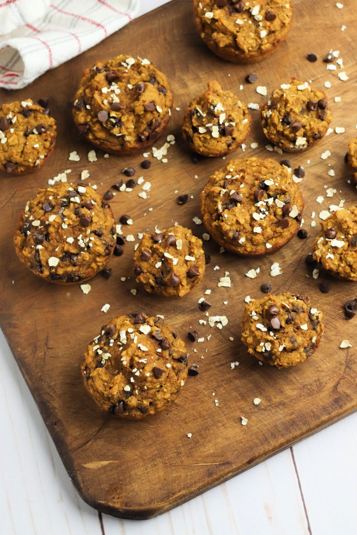 Chocolate Chip Pumpkin Muffins