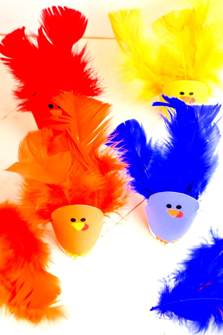 Turkey Feathers Color Matching Game