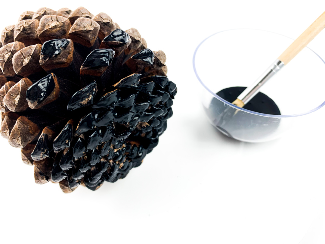 paint for Pine Cone Spider