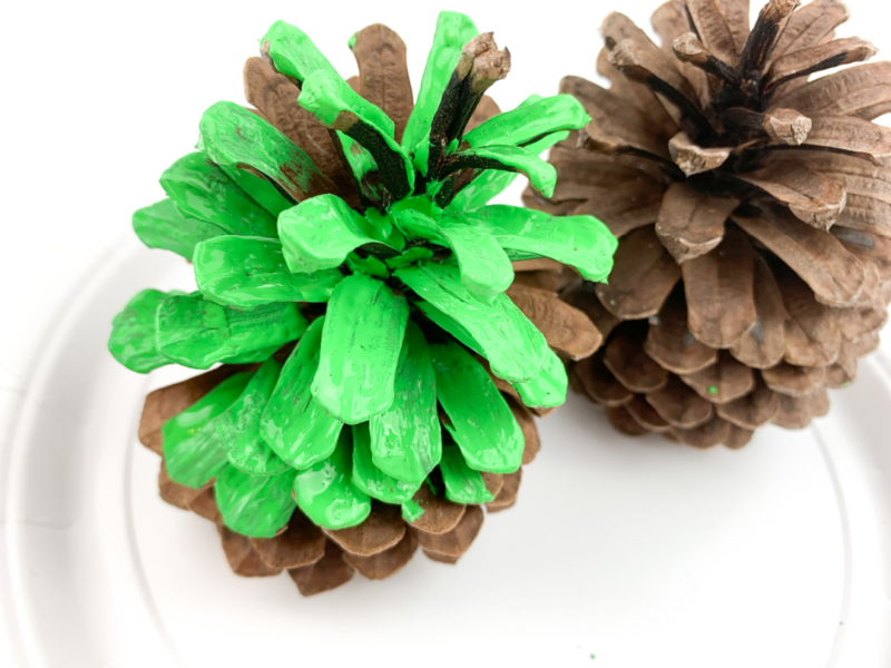 Pine Cone Crafts for Kids