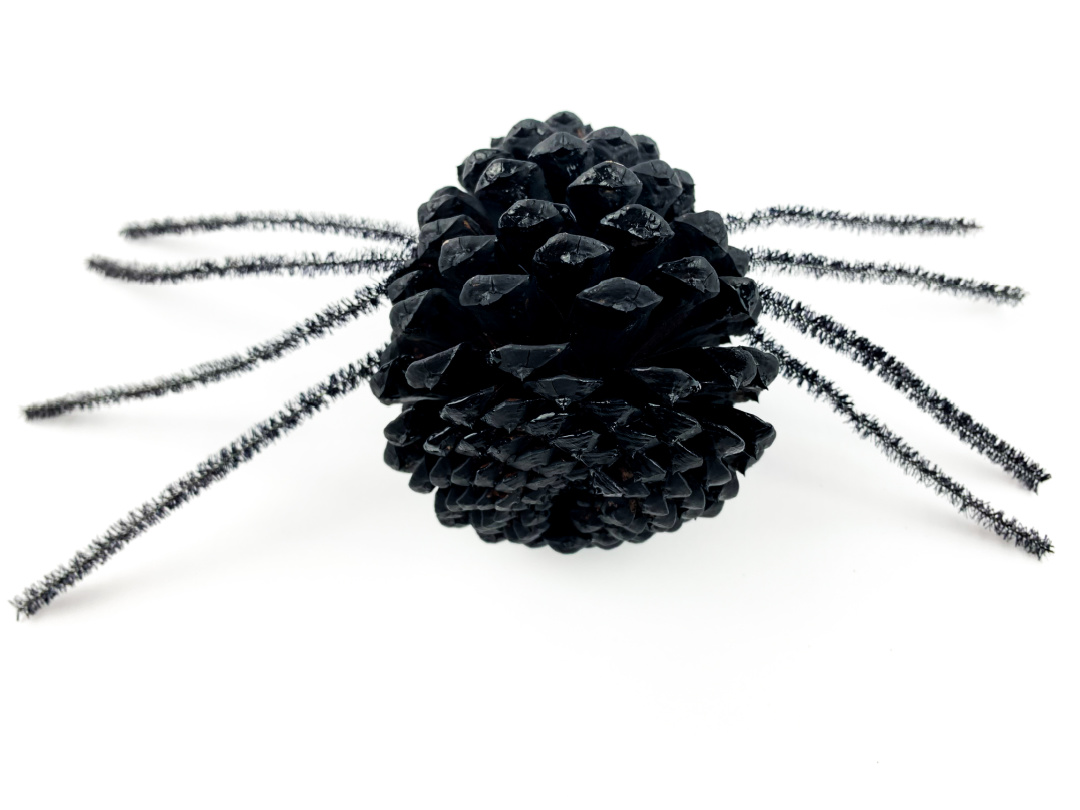 pine cone spider craft for kids