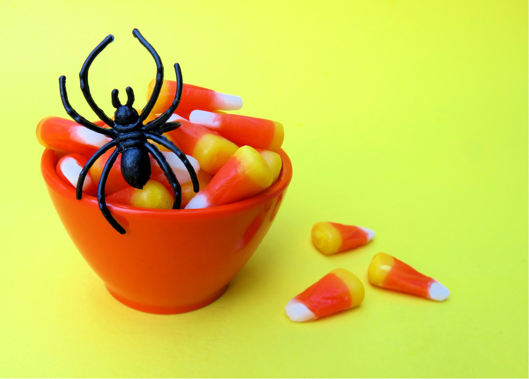 What To Put In Halloween Goodie Bags For Adults