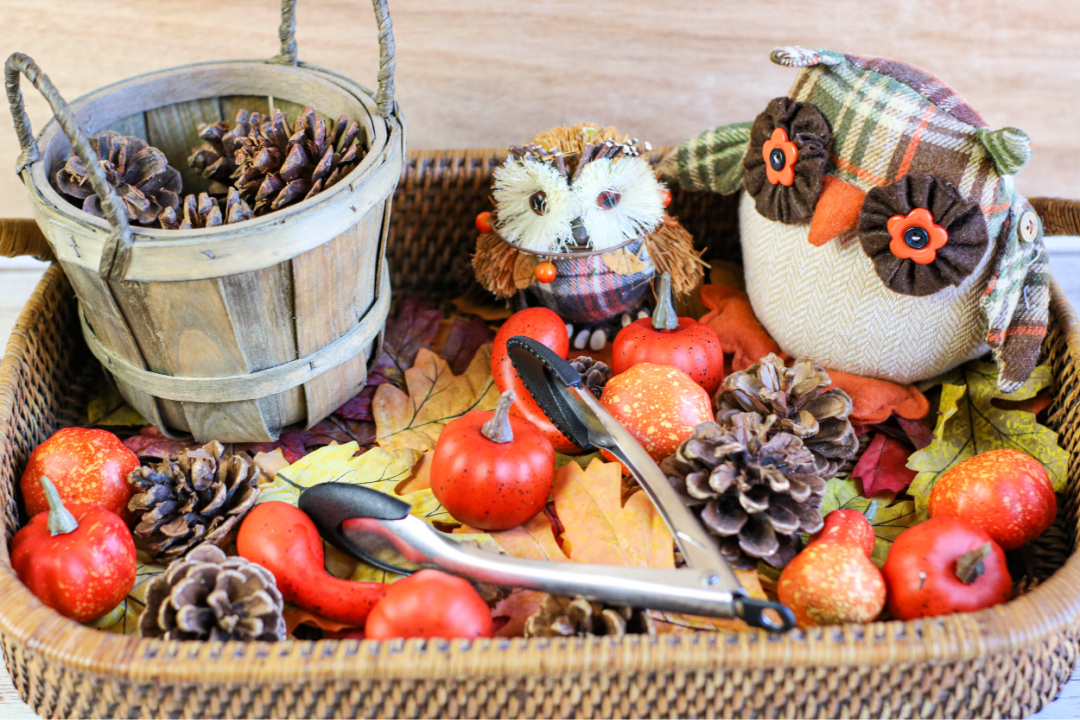 Pine Cone Thanksgiving Sensory Bin