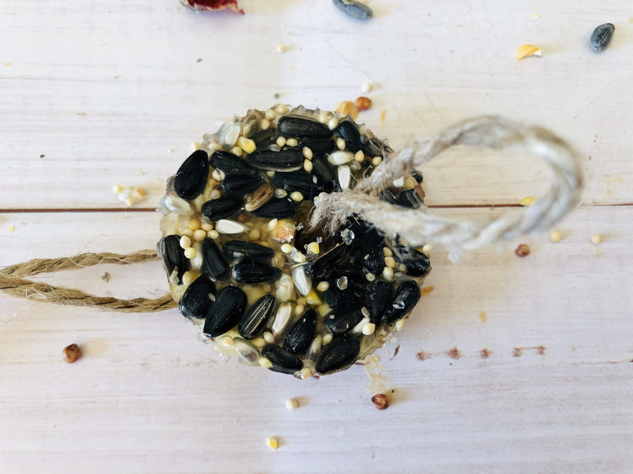 Gelatin Bird Feeder Mom. Wife. Busy Life.