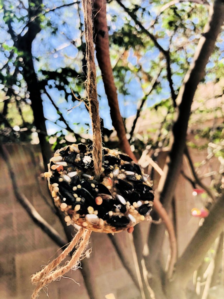 Gelatin Bird Feeder Mom. Wife. Busy Life.