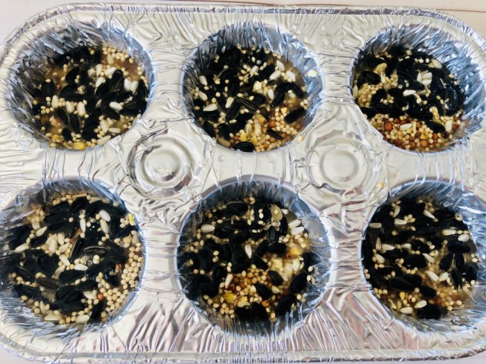 Gelatin Bird Feeder Mom. Wife. Busy Life.