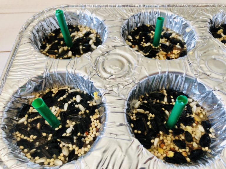 Gelatin Bird Feeder Mom. Wife. Busy Life.