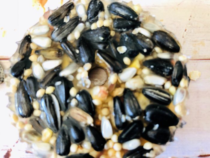 Gelatin Bird Feeder Mom. Wife. Busy Life.