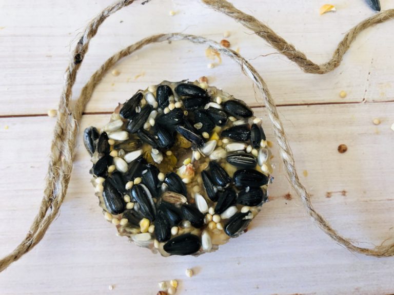 Gelatin Bird Feeder Mom. Wife. Busy Life.