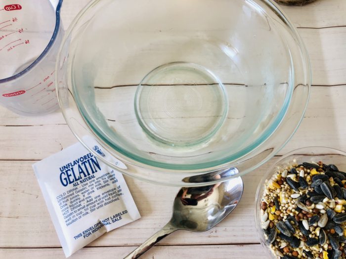 Gelatin Bird Feeder Mom. Wife. Busy Life.