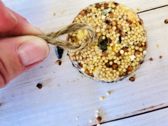 gelatinbirdfeeder8 Mom. Wife. Busy Life.