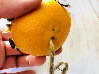 DIY Homemade Orange Bird Feeder - Mom. Wife. Busy Life.