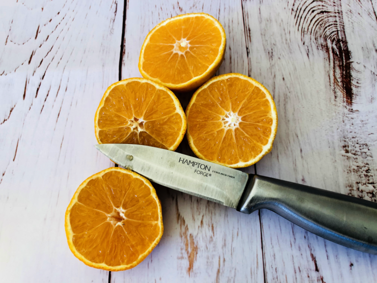 DIY Homemade Orange Bird Feeder Mom. Wife. Busy Life.