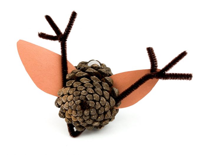 pine cone antlers