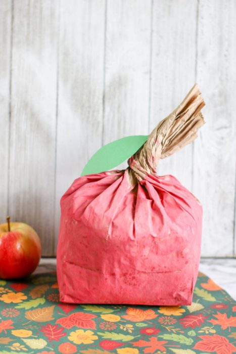 Apple Paper Bag Craft