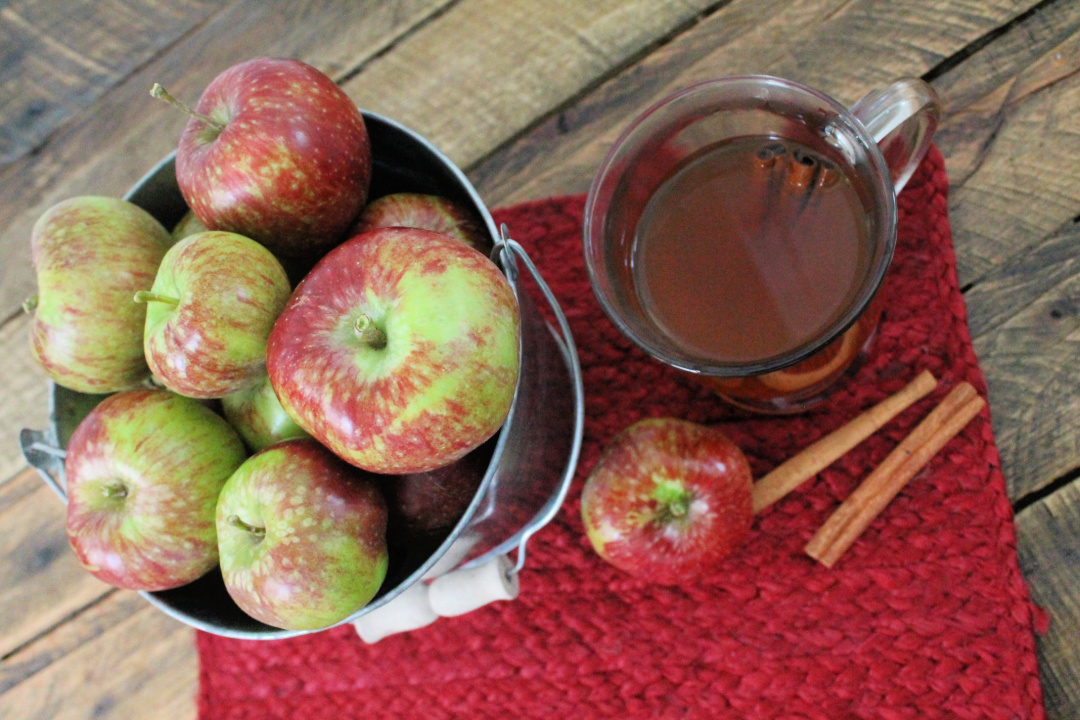 Hot Apple Cinnamon Spice Tea