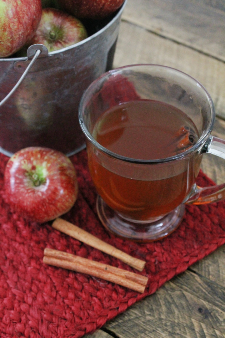 Hot Apple Cinnamon Spice Tea