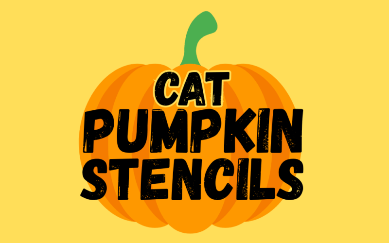 Cat pumpkin stencils printable