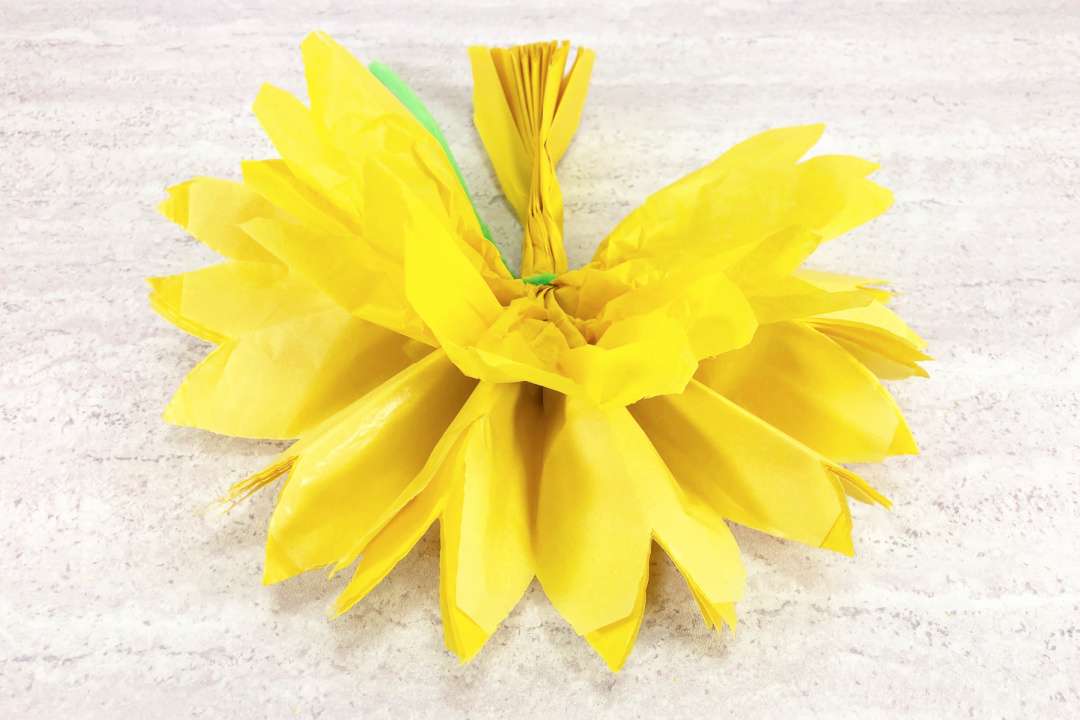 Tissue Paper Flower Craft