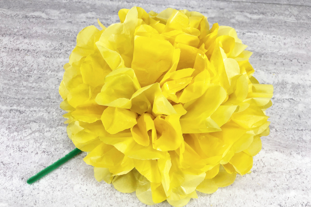 Tissue Paper Flower Craft