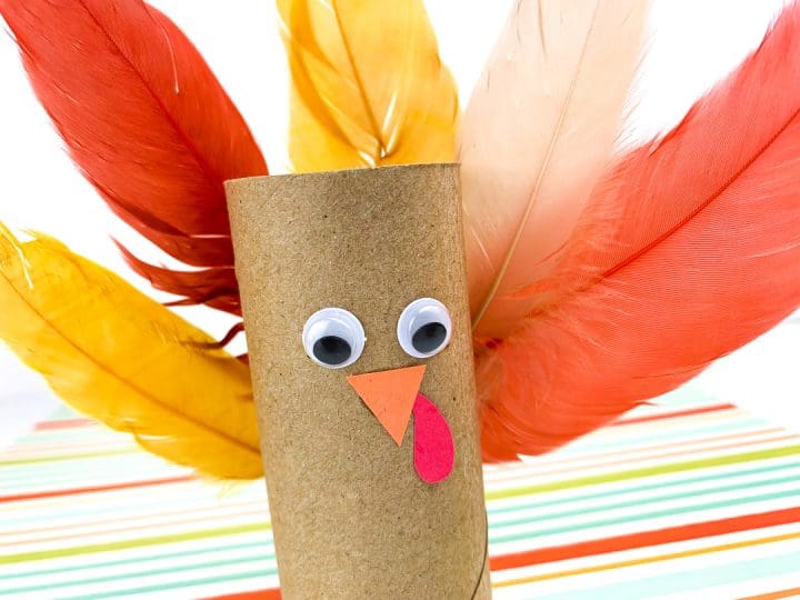 Toilet Paper Roll Turkey Craft Mom. Wife. Busy Life.